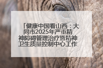 健康中国看山西：大同市2025年严重精神障碍管理治疗暨精神卫生质量控制中心工作培训班开班
