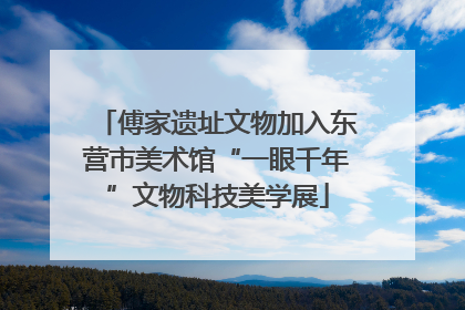 傅家遗址文物加入东营市美术馆“一眼千年”文物科技美学展