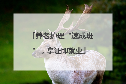 养老护理“速成班”，拿证即就业