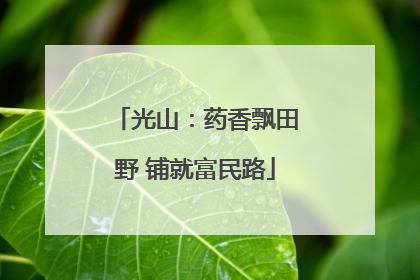 光山：药香飘田野 铺就富民路