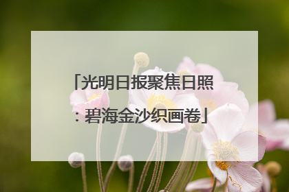 光明日报聚焦日照：碧海金沙织画卷