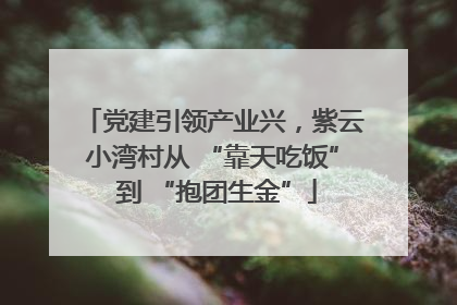 党建引领产业兴，紫云小湾村从 “靠天吃饭” 到 “抱团生金”
