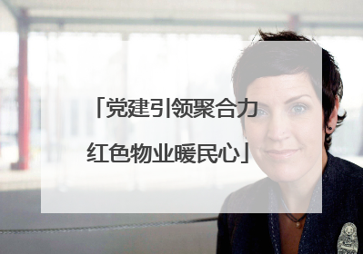 党建引领聚合力 红色物业暖民心