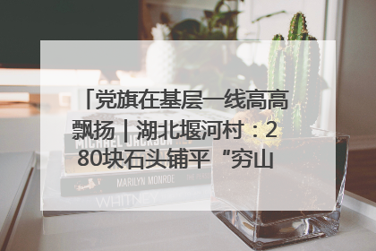 党旗在基层一线高高飘扬｜湖北堰河村：280块石头铺平“穷山沟”的致富振兴路