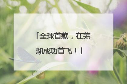 全球首款，在芜湖成功首飞！