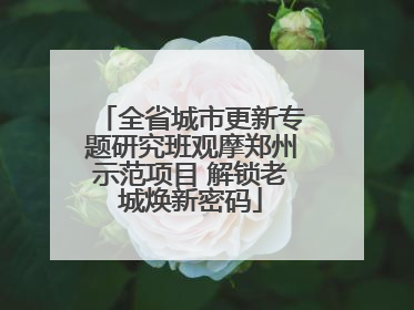 全省城市更新专题研究班观摩郑州示范项目 解锁老城焕新密码