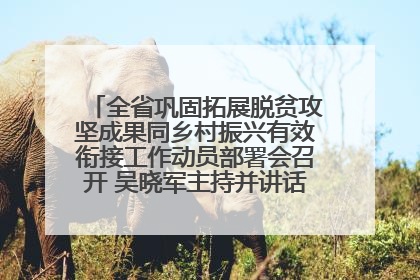 全省巩固拓展脱贫攻坚成果同乡村振兴有效衔接工作动员部署会召开 吴晓军主持并讲话 罗东川作安排部署