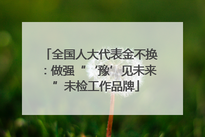 全国人大代表金不换：做强“‘豫’见未来”未检工作品牌