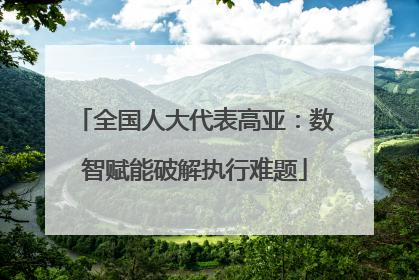 全国人大代表高亚：数智赋能破解执行难题