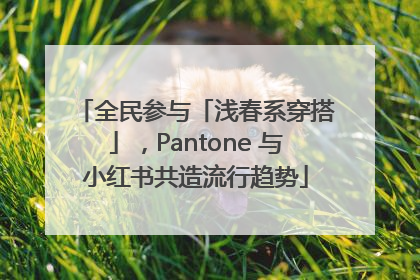全民参与「浅春系穿搭」，Pantone 与小红书共造流行趋势
