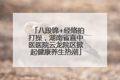 八段锦+经络拍打操，湖南省直中医医院云龙院区掀起健康养生热潮