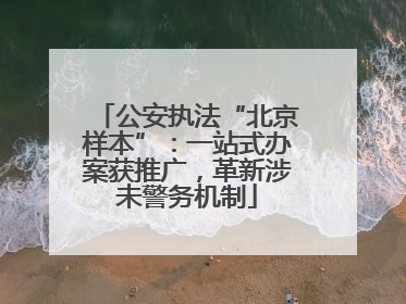 公安执法“北京样本”：一站式办案获推广，革新涉未警务机制