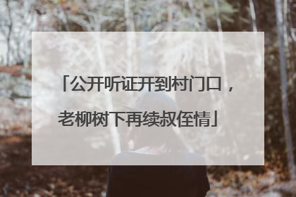 公开听证开到村门口，老柳树下再续叔侄情