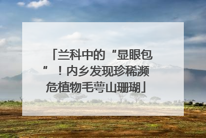 兰科中的“显眼包”！内乡发现珍稀濒危植物毛萼山珊瑚