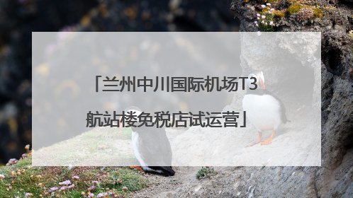 兰州中川国际机场T3航站楼免税店试运营