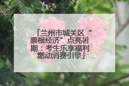 兰州市城关区“票根经济”点亮暑期：考生乐享福利 燃动消费引擎