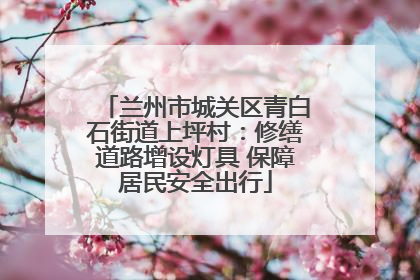 兰州市城关区青白石街道上坪村：修缮道路增设灯具 保障居民安全出行