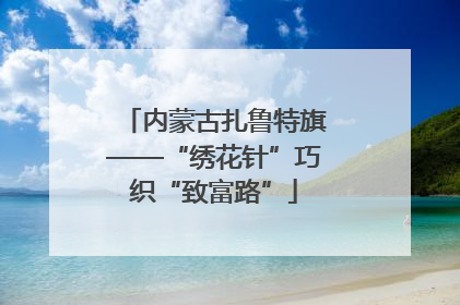 内蒙古扎鲁特旗——“绣花针”巧织“致富路”