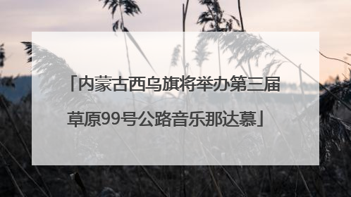 内蒙古西乌旗将举办第三届草原99号公路音乐那达慕