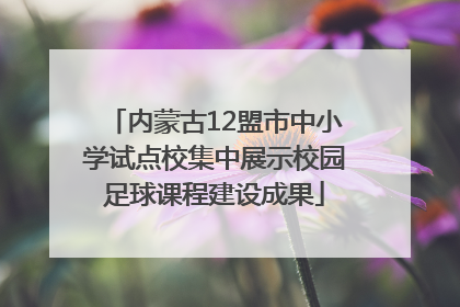 内蒙古12盟市中小学试点校集中展示校园足球课程建设成果