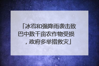 冰雹和强降雨袭击致巴中数千亩农作物受损，政府多举措救灾