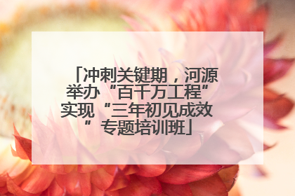 冲刺关键期，河源举办“百千万工程”实现“三年初见成效”专题培训班