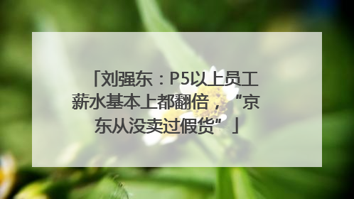 刘强东：P5以上员工薪水基本上都翻倍，“京东从没卖过假货”