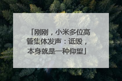 刚刚，小米多位高管集体发声：诋毁，本身就是一种仰望