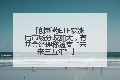 创新药ETF暴涨后市场分歧加大，有基金经理称透支“未来三五年”