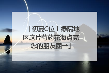 初夏C位！绿隔地区这片芍药花海点亮您的朋友圈→