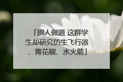 别人做题 这群学生却研究仿生飞行器、青花椒、水火箭