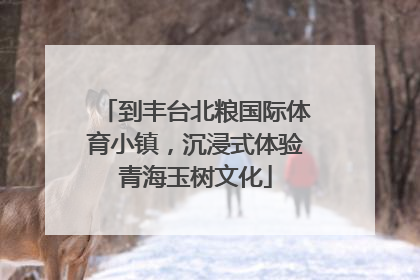 到丰台北粮国际体育小镇，沉浸式体验青海玉树文化