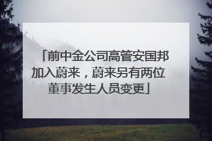前中金公司高管安国邦加入蔚来，蔚来另有两位董事发生人员变更