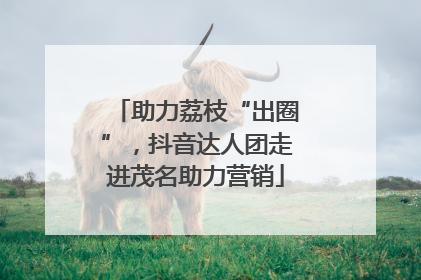助力荔枝“出圈”，抖音达人团走进茂名助力营销