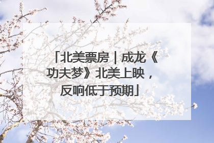 北美票房｜成龙《功夫梦》北美上映，反响低于预期
