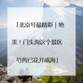北京号最精彩｜绝美！门头沟这个景区芍药已花开成海