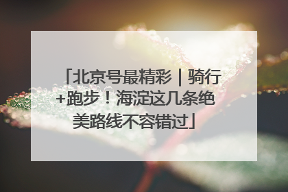 北京号最精彩｜骑行+跑步！海淀这几条绝美路线不容错过