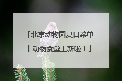 北京动物园夏日菜单丨动物食堂上新啦！