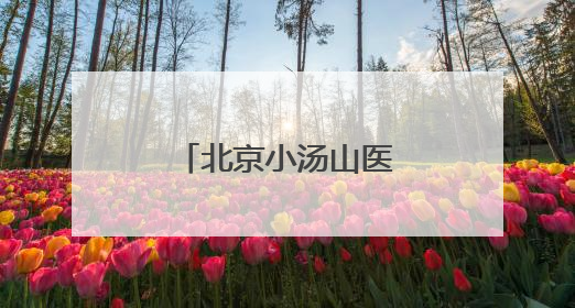 北京小汤山医院院长调整
