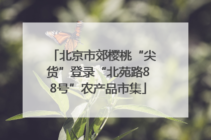 北京市郊樱桃“尖货”登录“北苑路88号”农产品市集