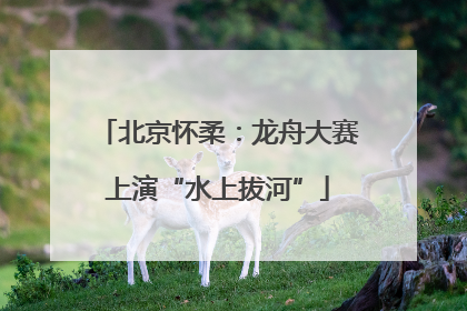 北京怀柔：龙舟大赛上演“水上拔河”