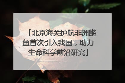 北京海关护航非洲鳉鱼首次引入我国，助力生命科学前沿研究