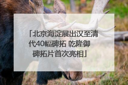 北京海淀展出汉至清代40幅碑拓 乾隆御碑拓片首次亮相