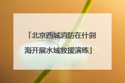 北京西城消防在什刹海开展水域救援演练