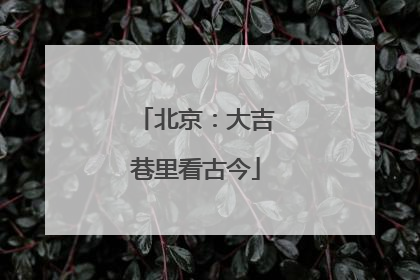 北京：大吉巷里看古今
