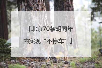北京70条胡同年内实现“不停车”