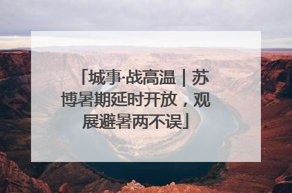 城事·战高温｜苏博暑期延时开放，观展避暑两不误