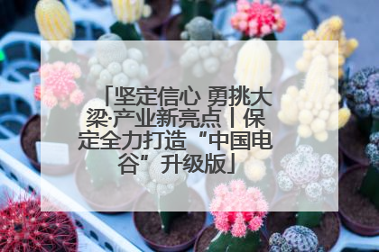 坚定信心 勇挑大梁·产业新亮点丨保定全力打造“中国电谷”升级版