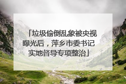 垃圾偷倒乱象被央视曝光后，萍乡市委书记实地督导专项整治
