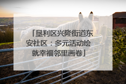垦利区兴隆街道东安社区：多元活动绘就幸福邻里画卷